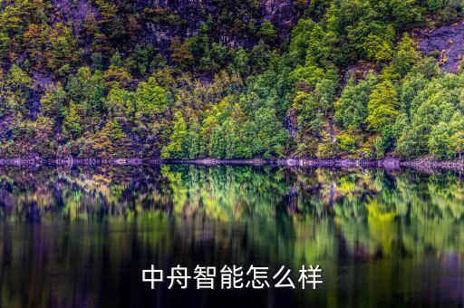 中品智能科技怎么樣啊，中納惠州智能科技有限公司怎么樣