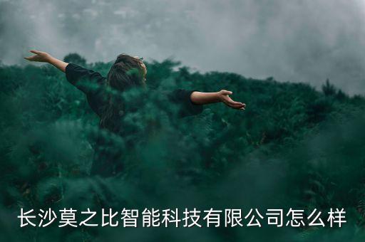 長沙莫之比智能科技有限公司怎么樣
