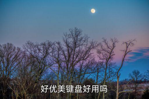 深圳優(yōu)美智能科技怎么樣，好優(yōu)美鍵盤好用嗎