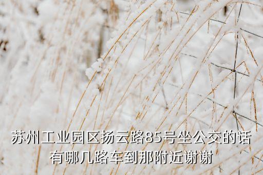 蘇州工業(yè)園區(qū)揚(yáng)云路85號(hào)坐公交的話有哪幾路車到那附近謝謝