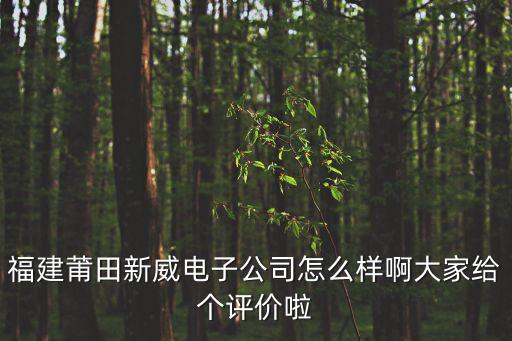 福建莆田新威電子公司怎么樣啊大家給個(gè)評(píng)價(jià)啦