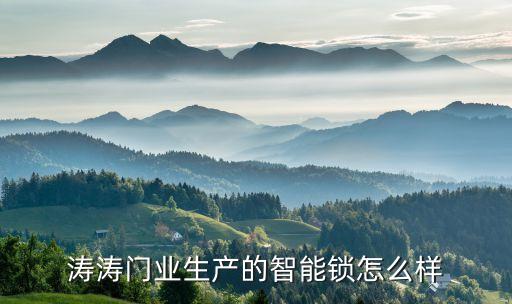 濤濤門業(yè)生產(chǎn)的智能鎖怎么樣