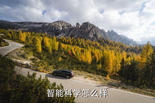 國雅智能科技怎么樣，有知道智能科學(xué)與技術(shù)系如何的嗎