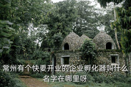 常州有個快要開業(yè)的企業(yè)孵化器叫什么名字在哪里呀