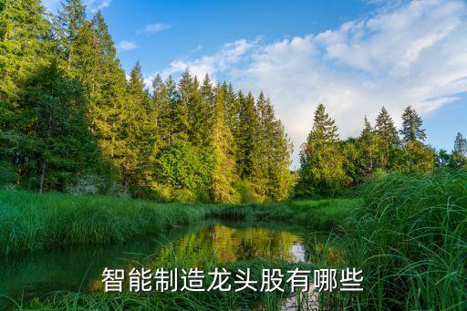 智能科技類龍頭公司有哪些，智能制造龍頭股有哪些