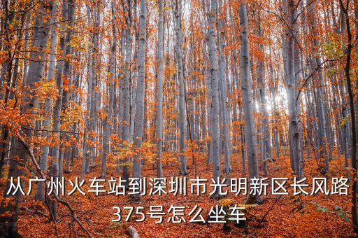從廣州火車(chē)站到深圳市光明新區(qū)長(zhǎng)風(fēng)路375號(hào)怎么坐車(chē)