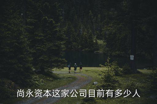 尚永資本這家公司目前有多少人