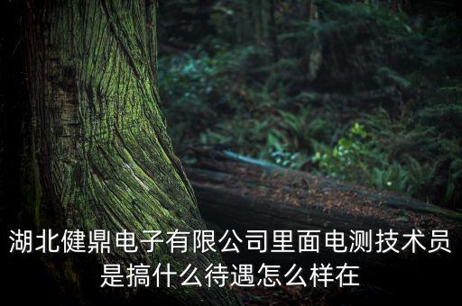 鎂光智能科技招聘崗位怎么樣，河北冀雅電子公司待遇怎么樣希望內(nèi)部人士回答
