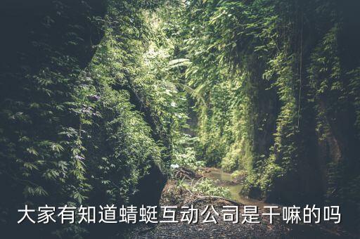 大家有知道蜻蜓互動公司是干嘛的嗎