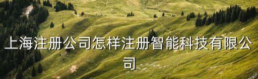 上海注冊公司怎樣注冊智能科技有限公司