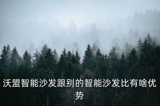 沙發(fā)智能科技有哪些，什么是智能沙發(fā)呀