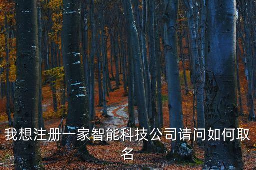 我想注冊(cè)一家智能科技公司請(qǐng)問如何取名