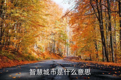 智能科技城是什么意思，智慧城市是什么概念