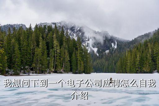 我想問下到一個(gè)電子公司應(yīng)聘怎么自我介紹