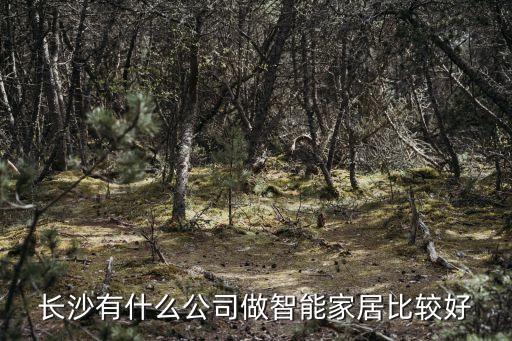 長沙有什么公司做智能家居比較好