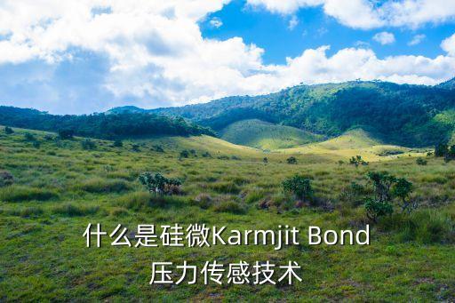 什么是硅微Karmjit Bond壓力傳感技術(shù)
