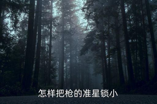 怎樣把槍的準星鎖小
