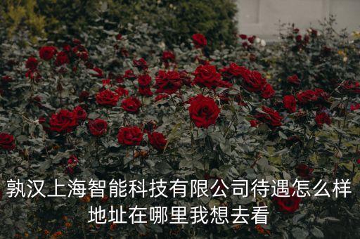 孰漢上海智能科技有限公司待遇怎么樣地址在哪里我想去看