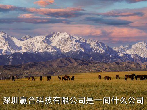 深圳贏合科技有限公司是一間什么公司