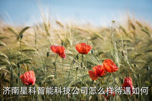濟(jì)南星科智能科技公司怎么樣待遇如何
