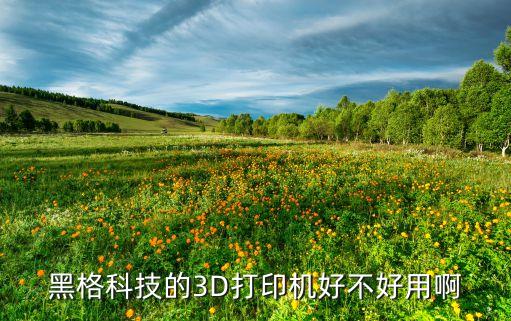 黑格智能科技如何，黑格科技是一家什么樣的公司