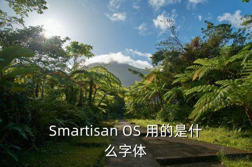Smartisan OS 用的是什么字體
