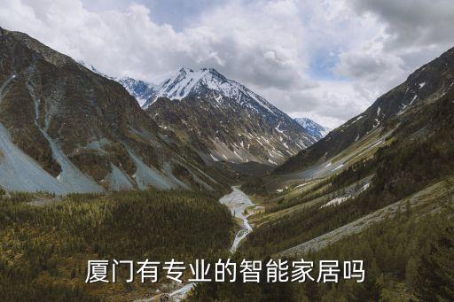 廈門有專業(yè)的智能家居嗎