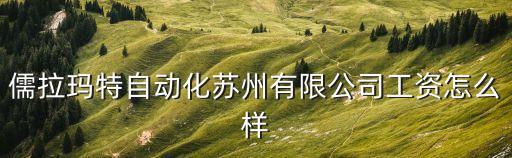 儒拉瑪特自動化蘇州有限公司工資怎么樣