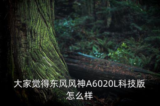 大家覺得東風(fēng)風(fēng)神A6020L科技版怎么樣