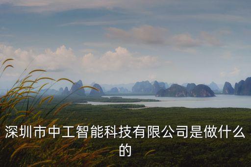 中動(dòng)智能科技做什么的，深圳市中工智能科技有限公司是做什么的