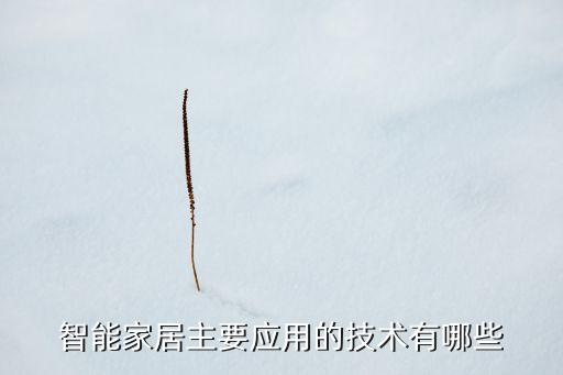 智能產(chǎn)品的科技應用有哪些，人工智能的應用領(lǐng)域有哪些