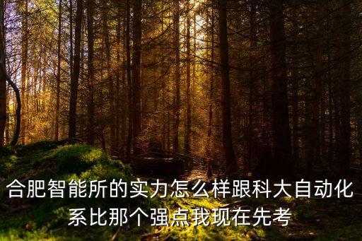 合肥智能所的實(shí)力怎么樣跟科大自動(dòng)化系比那個(gè)強(qiáng)點(diǎn)我現(xiàn)在先考