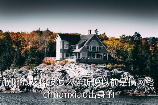 微龍智能科技怎么樣，深圳微智科技怎么樣