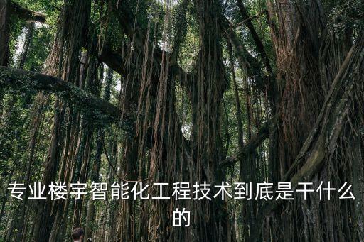 專業(yè)樓宇智能化工程技術(shù)到底是干什么的