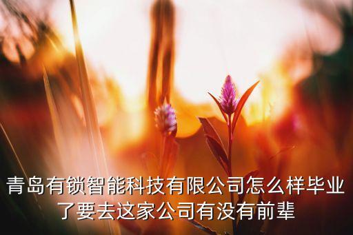 青島有鎖智能科技有限公司怎么樣畢業(yè)了要去這家公司有沒有前輩