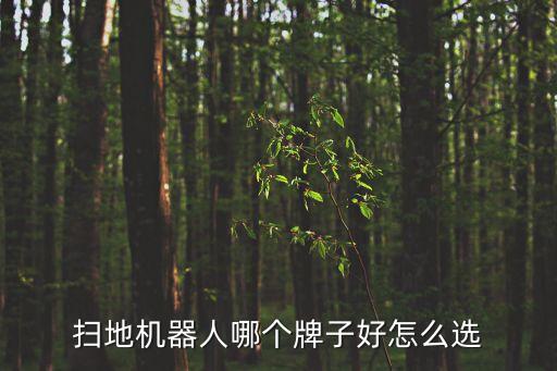 掃地機(jī)器人哪個(gè)牌子好怎么選