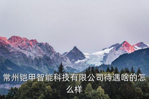 常州鎧甲智能科技有限公司待遇啥的怎么樣