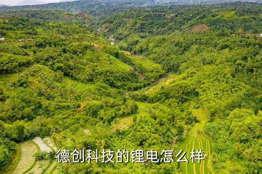 德創(chuàng)智能科技怎么樣，蕪湖德創(chuàng)有限電子公司就是他媽的垃圾公司
