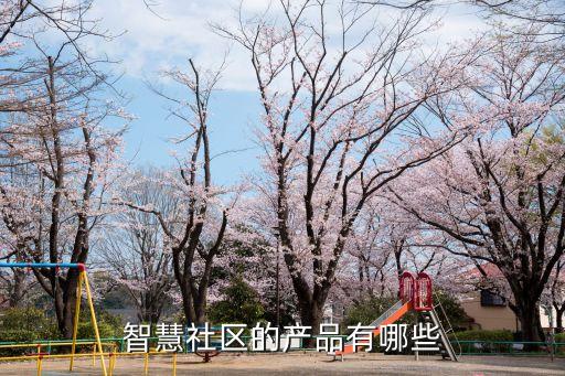 智慧社區(qū)的產(chǎn)品有哪些