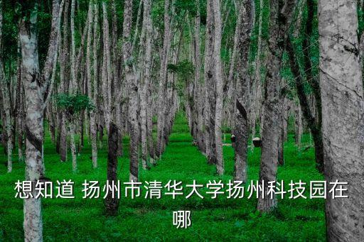 華大智能科技產(chǎn)業(yè)園在哪里，請問深圳那個電子公司最大具體位置在那