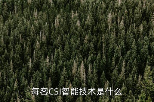 每客CSI智能技術(shù)是什么