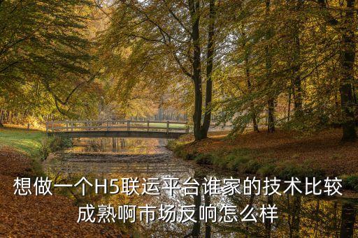 想做一個H5聯(lián)運平臺誰家的技術比較成熟啊市場反響怎么樣