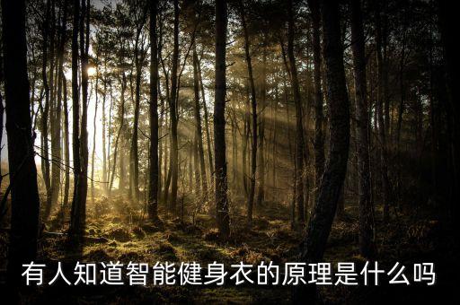 科技智能健身是什么意思，有人知道智能健身衣的原理是什么嗎