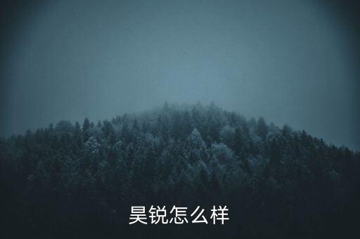 昊銳怎么樣