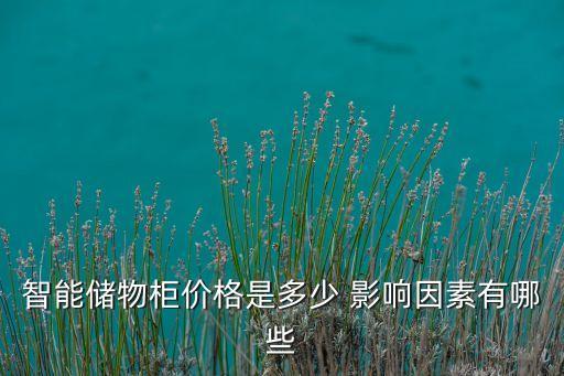 智能儲(chǔ)物柜價(jià)格是多少 影響因素有哪些