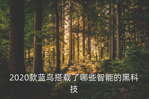 2020款藍(lán)鳥(niǎo)搭載了哪些智能的黑科技