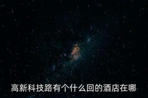 高新科技路有個什么回的酒店在哪