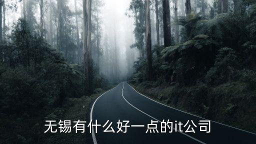 無錫輔助智能科技有哪些，無錫有什么好一點的it公司