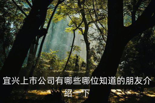 宜興上市公司有哪些哪位知道的朋友介紹一下