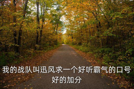 我的戰(zhàn)隊(duì)叫迅風(fēng)求一個(gè)好聽(tīng)霸氣的口號(hào)好的加分
